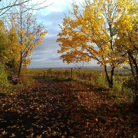 Kakteengarten Appartement *