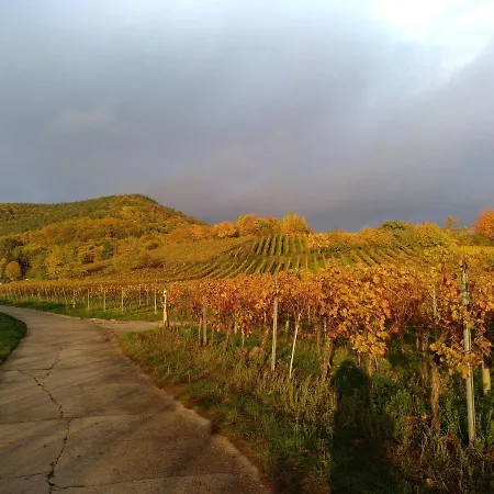 Kakteengarten Apartmán Bochingen