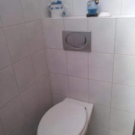 Kakteengarten *