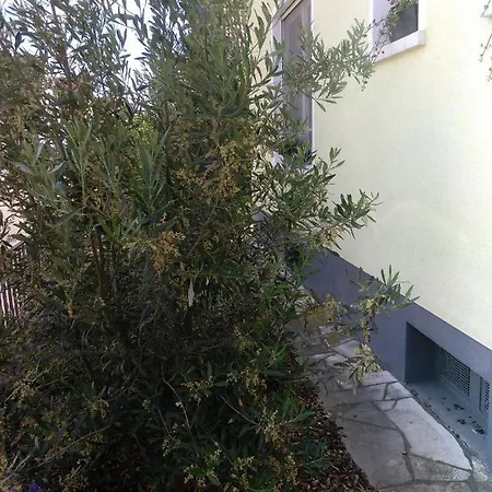 Kakteengarten *