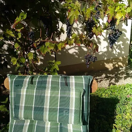 Kakteengarten * Bochingen