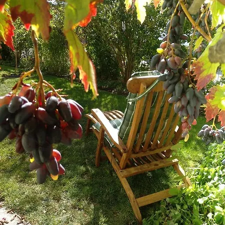 Kakteengarten Apartmán Bochingen