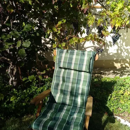 Appartement Kakteengarten Bochingen