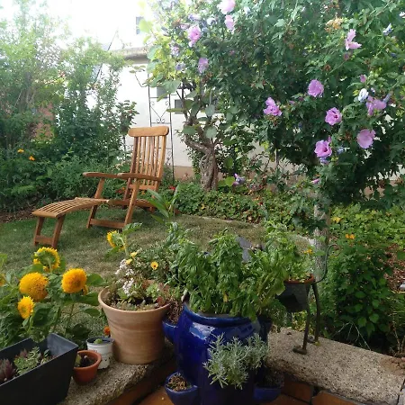 Lägenhet Kakteengarten *