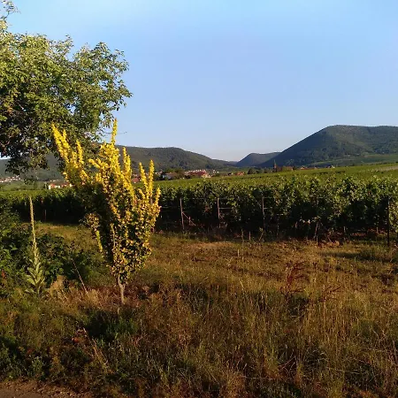 Kakteengarten Appartement *