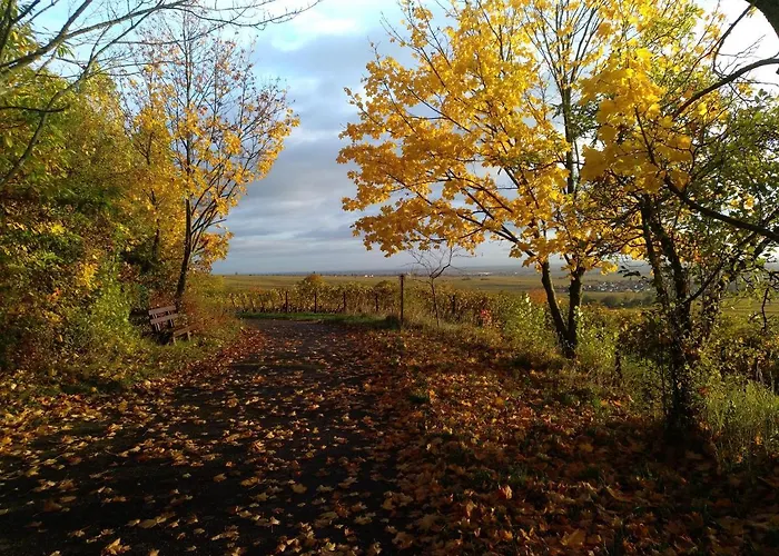 Kakteengarten Daire *