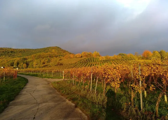 Kakteengarten Daire Bochingen