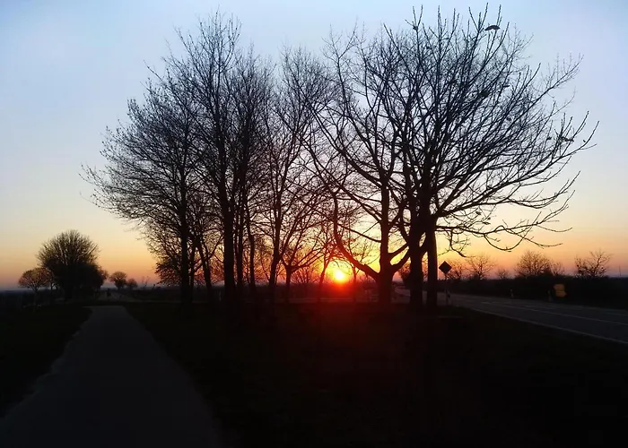 Kakteengarten Daire *