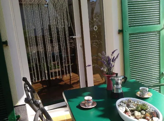 Daire Kakteengarten *