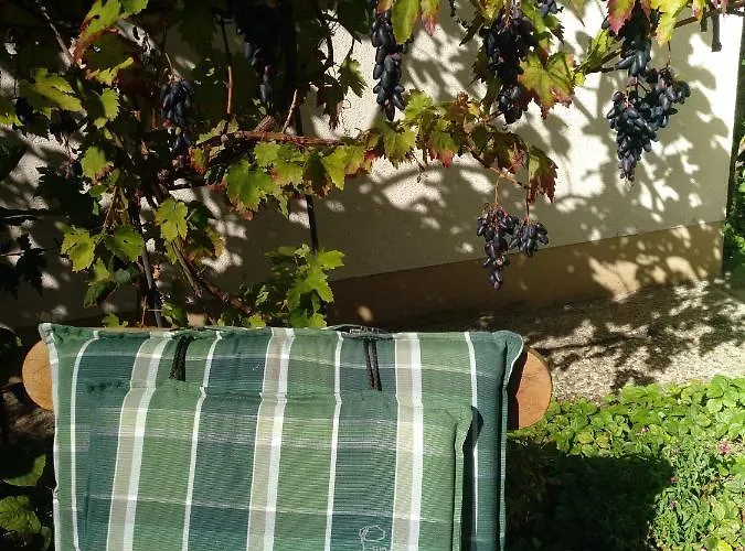 Kakteengarten * Bochingen