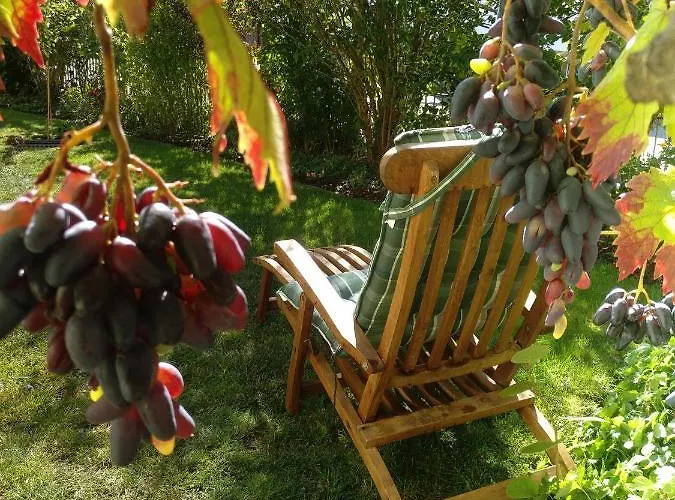 Kakteengarten 公寓 Bochingen