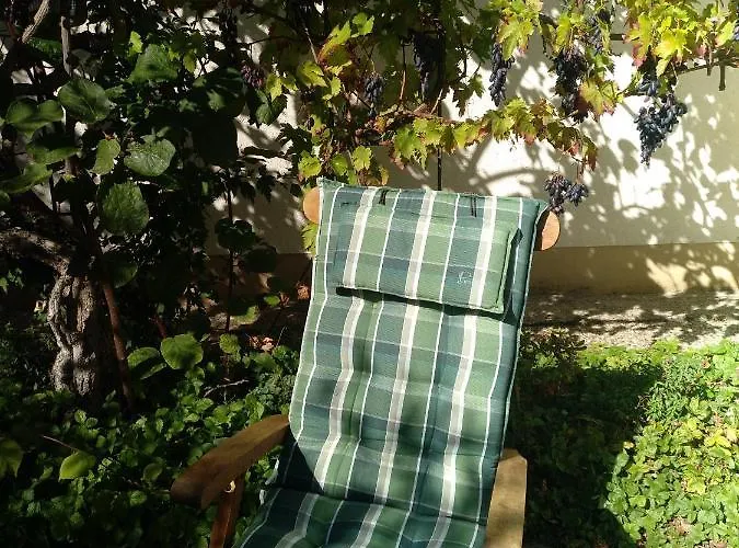 公寓 Kakteengarten Bochingen