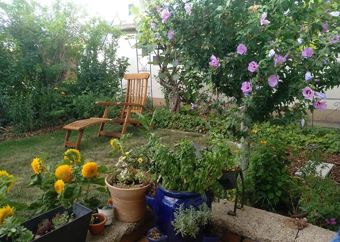 公寓 Kakteengarten *