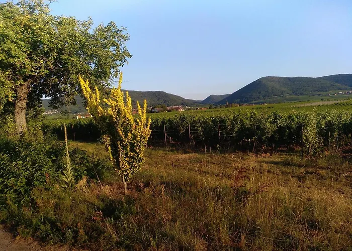 Kakteengarten 公寓 *